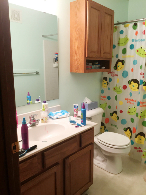 Introducing the Kids' Bathroom